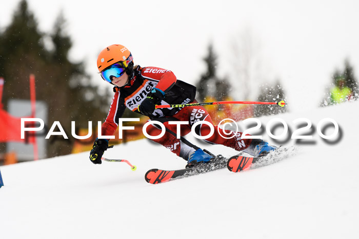 7.  Zienercup + Werdenfelser Meisterschaft 23.02.2020