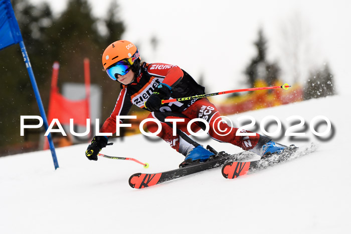 7.  Zienercup + Werdenfelser Meisterschaft 23.02.2020