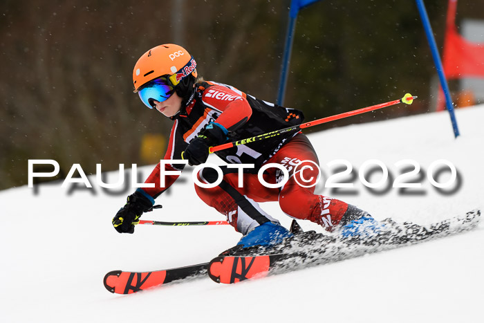 7.  Zienercup + Werdenfelser Meisterschaft 23.02.2020