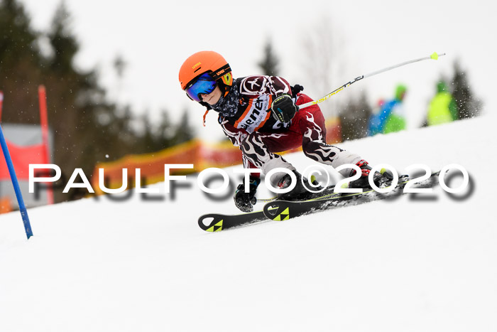7.  Zienercup + Werdenfelser Meisterschaft 23.02.2020