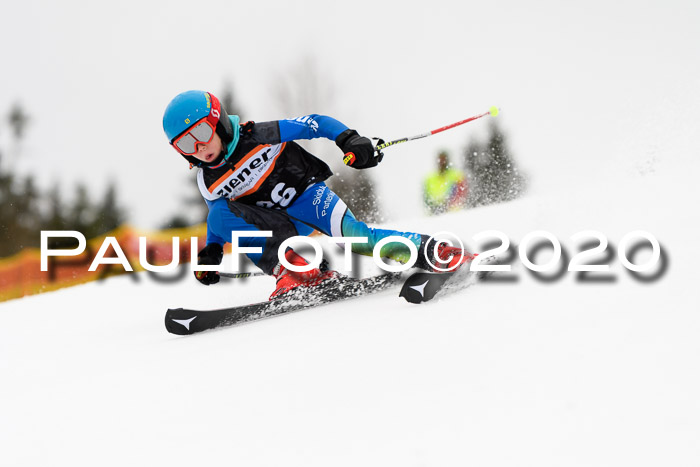 7.  Zienercup + Werdenfelser Meisterschaft 23.02.2020