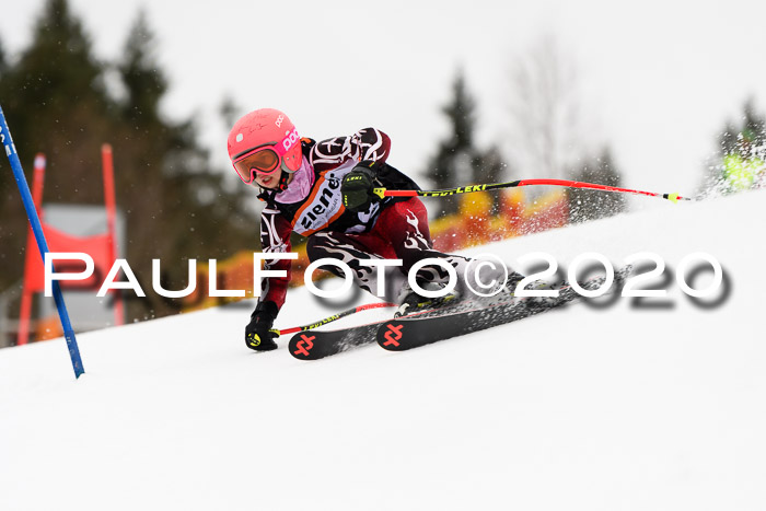 7.  Zienercup + Werdenfelser Meisterschaft 23.02.2020