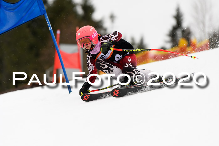 7.  Zienercup + Werdenfelser Meisterschaft 23.02.2020