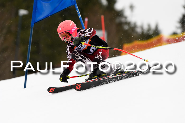 7.  Zienercup + Werdenfelser Meisterschaft 23.02.2020