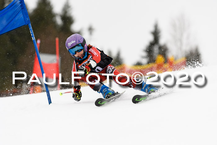 7.  Zienercup + Werdenfelser Meisterschaft 23.02.2020