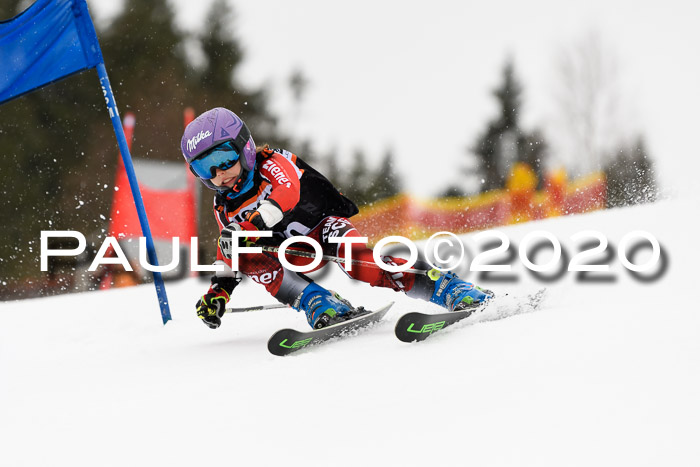 7.  Zienercup + Werdenfelser Meisterschaft 23.02.2020