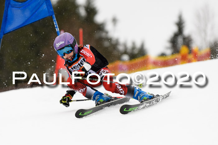 7.  Zienercup + Werdenfelser Meisterschaft 23.02.2020