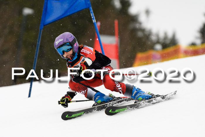 7.  Zienercup + Werdenfelser Meisterschaft 23.02.2020