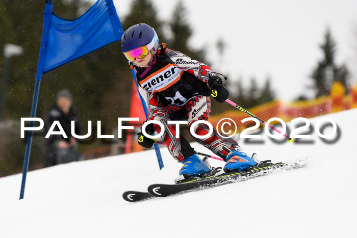7.  Zienercup + Werdenfelser Meisterschaft 23.02.2020