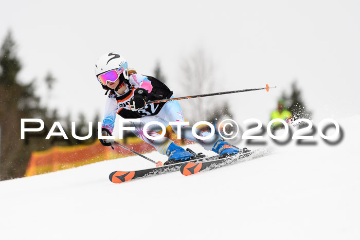 7.  Zienercup + Werdenfelser Meisterschaft 23.02.2020