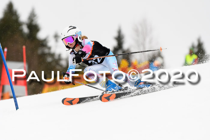 7.  Zienercup + Werdenfelser Meisterschaft 23.02.2020