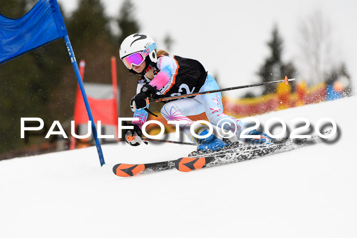 7.  Zienercup + Werdenfelser Meisterschaft 23.02.2020