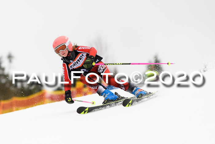 7.  Zienercup + Werdenfelser Meisterschaft 23.02.2020