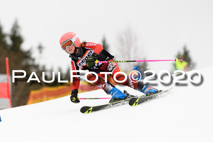 7.  Zienercup + Werdenfelser Meisterschaft 23.02.2020