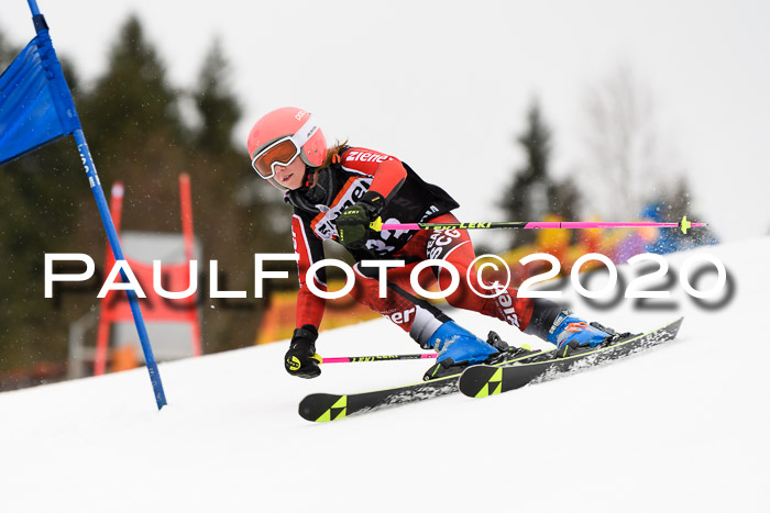 7.  Zienercup + Werdenfelser Meisterschaft 23.02.2020