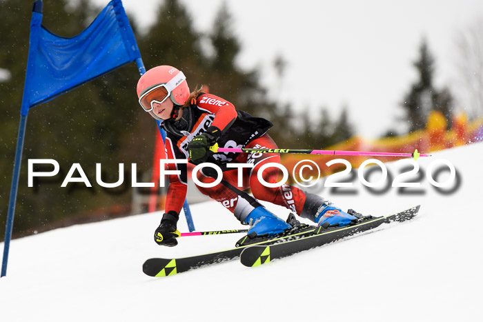 7.  Zienercup + Werdenfelser Meisterschaft 23.02.2020