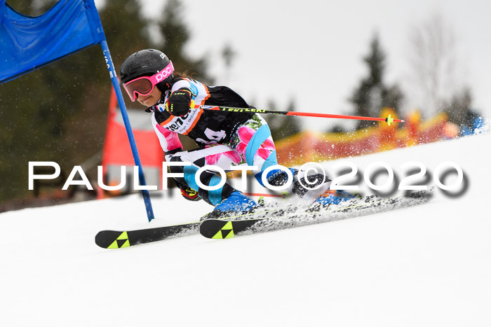 7.  Zienercup + Werdenfelser Meisterschaft 23.02.2020
