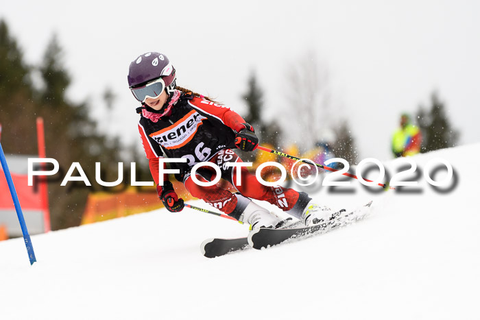 7.  Zienercup + Werdenfelser Meisterschaft 23.02.2020