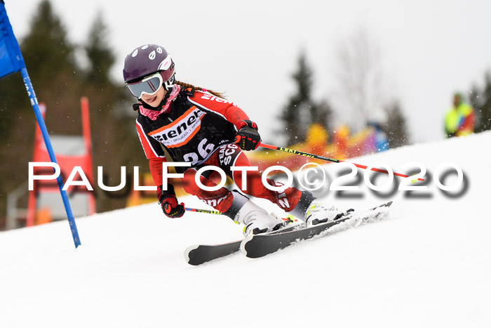 7.  Zienercup + Werdenfelser Meisterschaft 23.02.2020