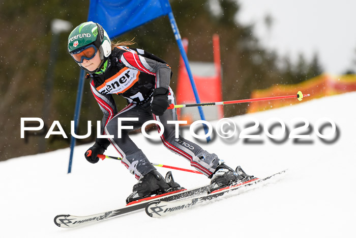 7.  Zienercup + Werdenfelser Meisterschaft 23.02.2020