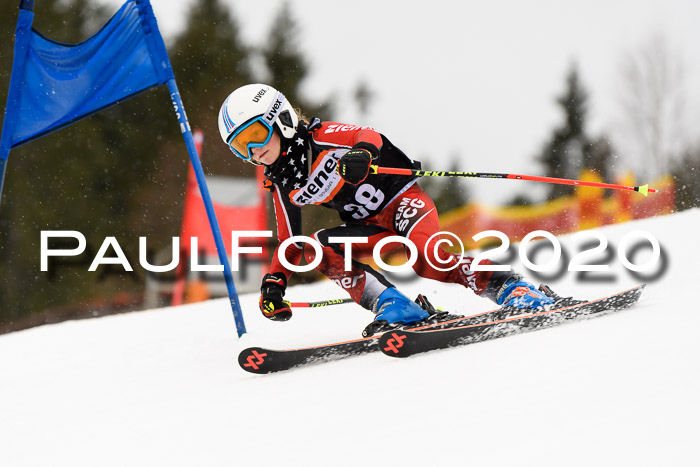 7.  Zienercup + Werdenfelser Meisterschaft 23.02.2020