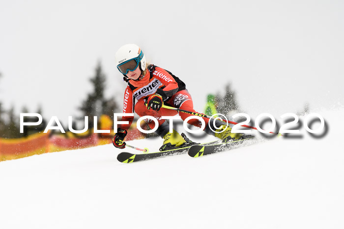 7.  Zienercup + Werdenfelser Meisterschaft 23.02.2020