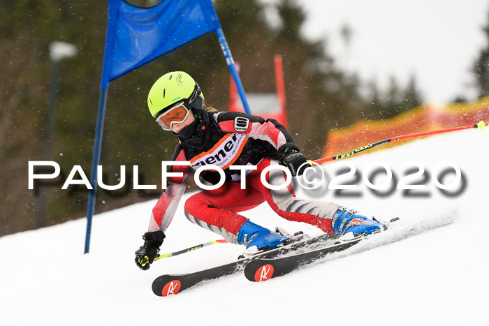 7.  Zienercup + Werdenfelser Meisterschaft 23.02.2020
