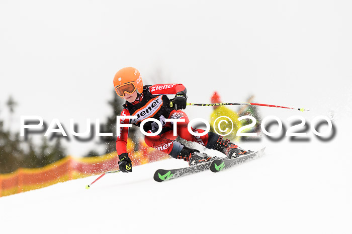 7.  Zienercup + Werdenfelser Meisterschaft 23.02.2020