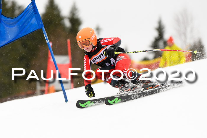 7.  Zienercup + Werdenfelser Meisterschaft 23.02.2020