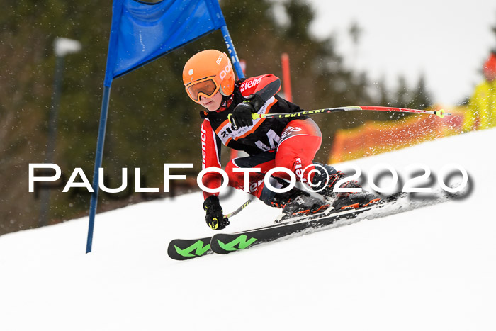 7.  Zienercup + Werdenfelser Meisterschaft 23.02.2020