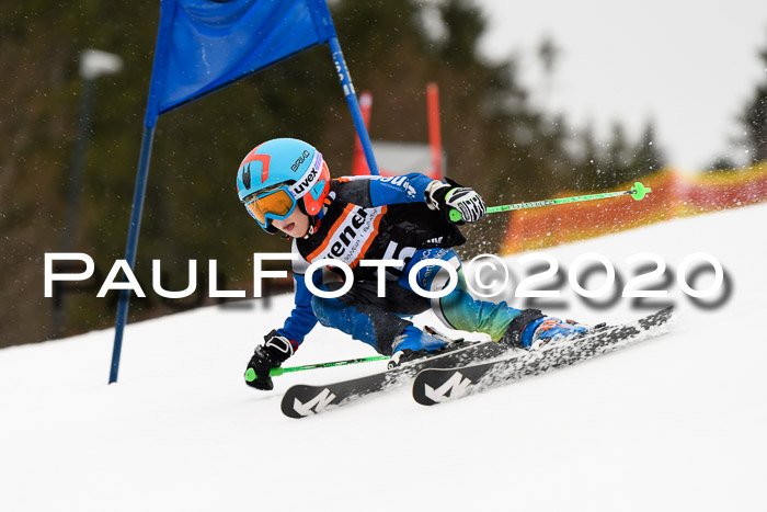 7.  Zienercup + Werdenfelser Meisterschaft 23.02.2020