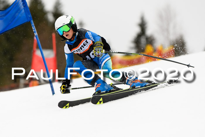 7.  Zienercup + Werdenfelser Meisterschaft 23.02.2020