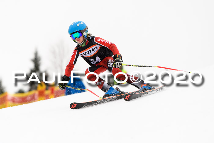 7.  Zienercup + Werdenfelser Meisterschaft 23.02.2020
