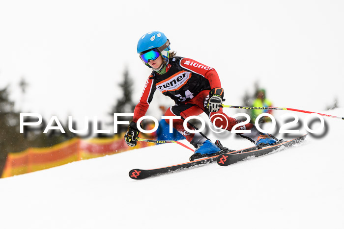 7.  Zienercup + Werdenfelser Meisterschaft 23.02.2020