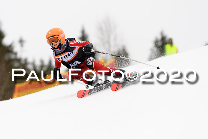 7.  Zienercup + Werdenfelser Meisterschaft 23.02.2020