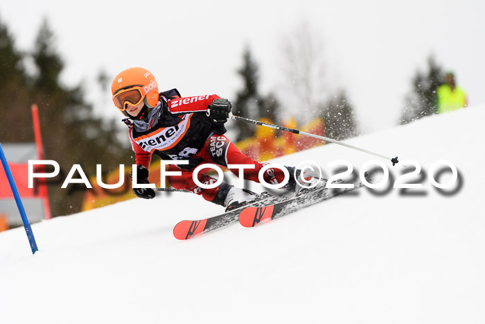 7.  Zienercup + Werdenfelser Meisterschaft 23.02.2020