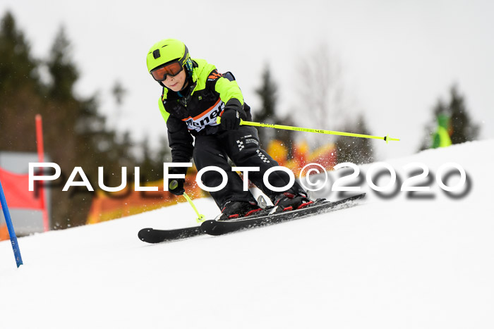 7.  Zienercup + Werdenfelser Meisterschaft 23.02.2020