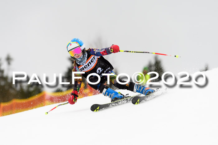 7.  Zienercup + Werdenfelser Meisterschaft 23.02.2020