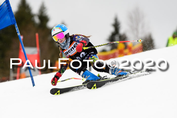 7.  Zienercup + Werdenfelser Meisterschaft 23.02.2020