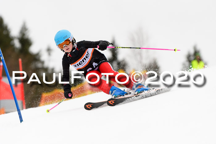 7.  Zienercup + Werdenfelser Meisterschaft 23.02.2020