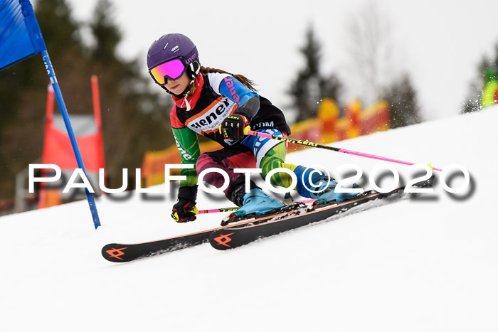7.  Zienercup + Werdenfelser Meisterschaft 23.02.2020