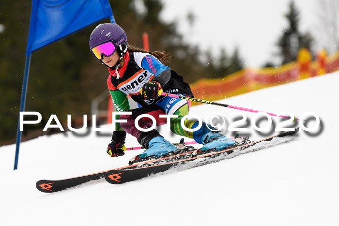 7.  Zienercup + Werdenfelser Meisterschaft 23.02.2020