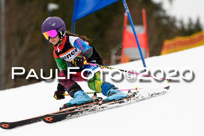 7.  Zienercup + Werdenfelser Meisterschaft 23.02.2020