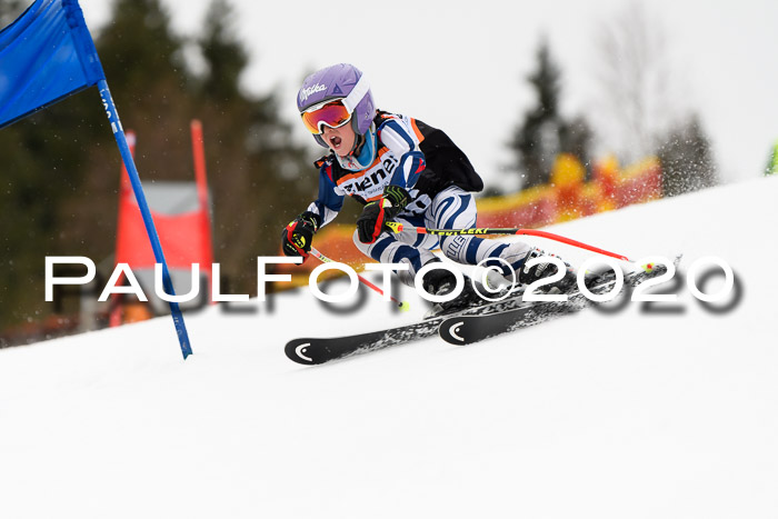 7.  Zienercup + Werdenfelser Meisterschaft 23.02.2020
