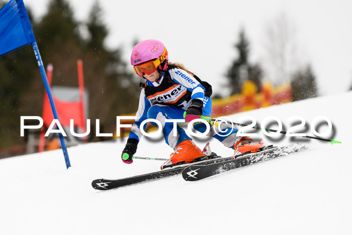 7.  Zienercup + Werdenfelser Meisterschaft 23.02.2020