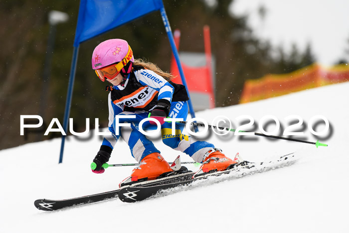 7.  Zienercup + Werdenfelser Meisterschaft 23.02.2020