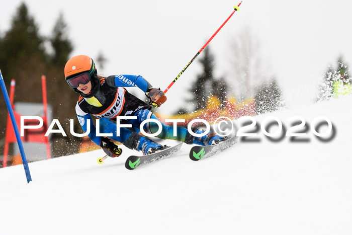 7.  Zienercup + Werdenfelser Meisterschaft 23.02.2020