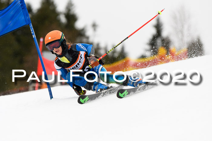 7.  Zienercup + Werdenfelser Meisterschaft 23.02.2020