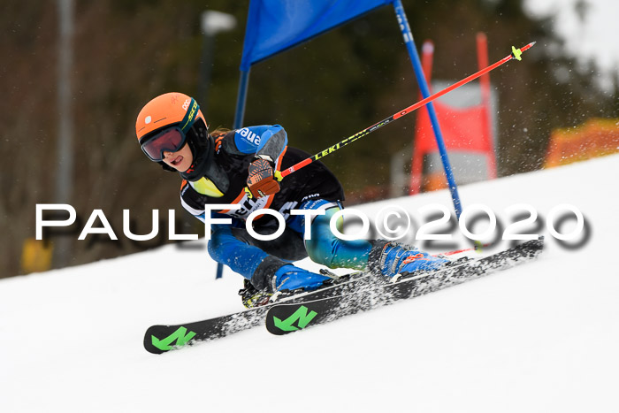 7.  Zienercup + Werdenfelser Meisterschaft 23.02.2020