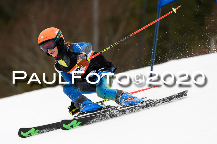 7.  Zienercup + Werdenfelser Meisterschaft 23.02.2020